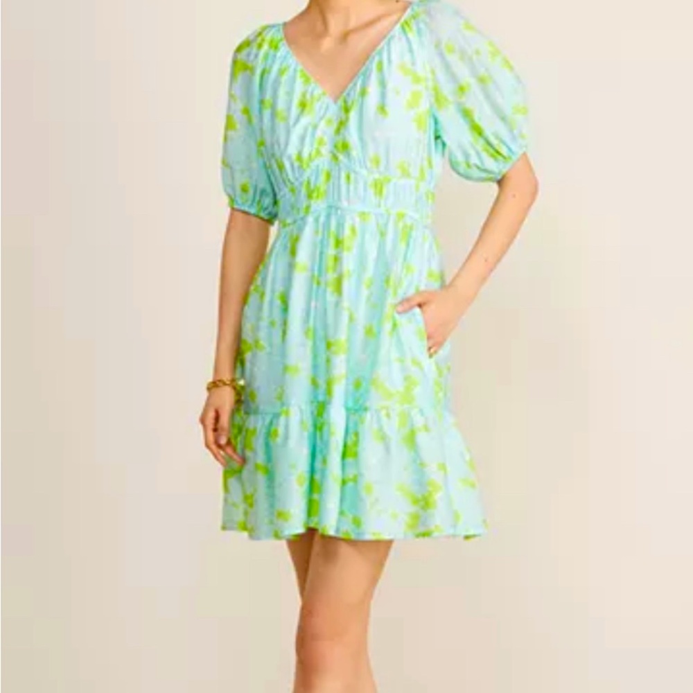 NWT Vineyard Vines Puff Sleeve dress